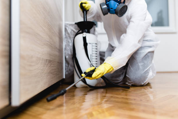 Best Affordable Pest Control Services  in Attica, IN