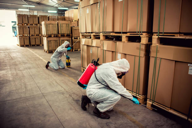 Best Bed Bug Extermination  in Attica, IN