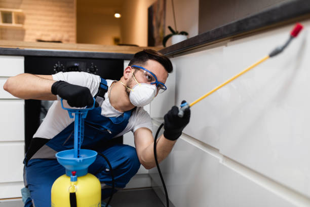Best Pest Control Treatment  in Attica, IN