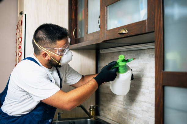 Best Local Pest Control Services  in Attica, IN