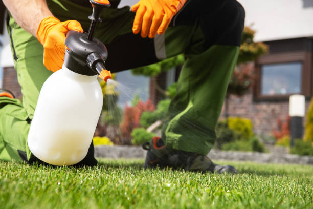 Best Residential Pest Control  in Attica, IN
