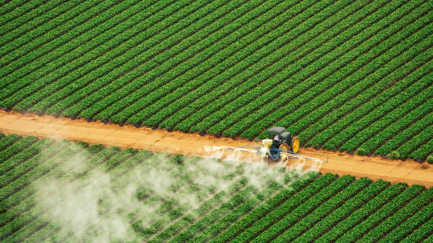 Best Pest Control for Homes  in Attica, IN