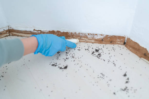 Best Mosquito Control Services  in Attica, IN